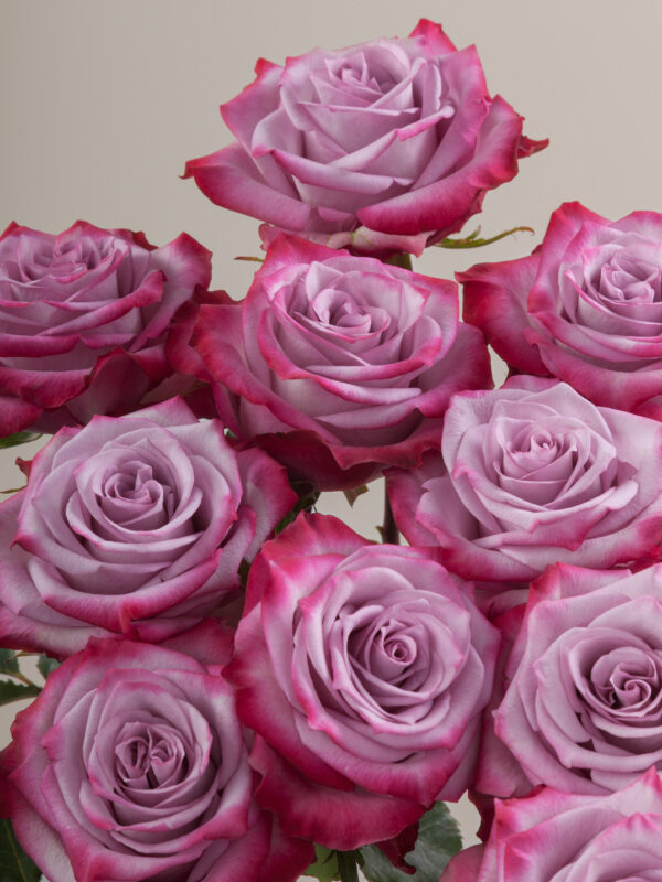 Deep Purple